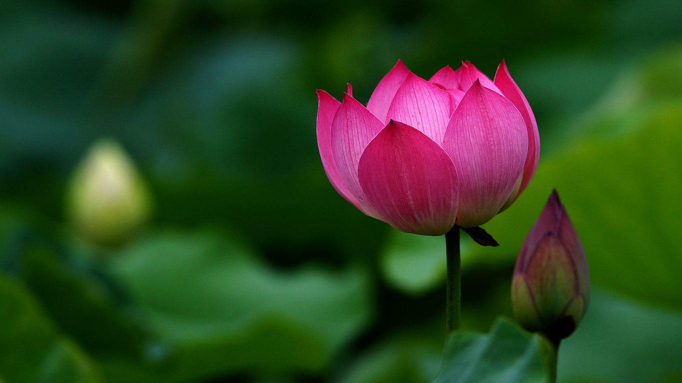 易經(jīng)：你的忍耐力越大，承載力越大，能(néng)成(chéng)就的事(shì)也會越大