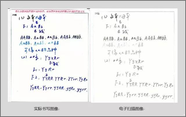 中高考電腦閱卷流程這(zhè)樣(yàng)的!讀完可多拿20分(轉給考生,這(zhè)對(duì)他們有用)