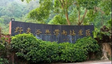 百年人“金秋之約”七彩雲南公費旅遊（之二）