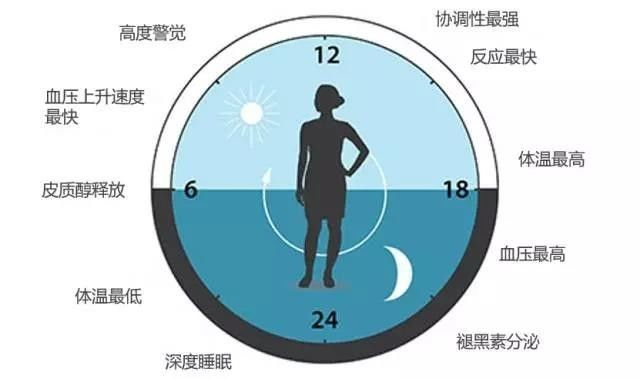 請轉給晚睡的學(xué)生:熬夜學(xué)習精神可嘉,但方法不可取!